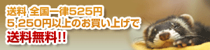 5,250円以上お買い上げで送料無料