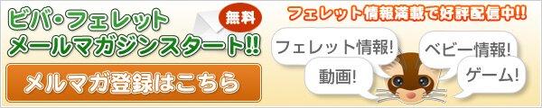 メールマガジン