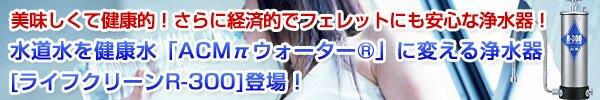 美味しくて健康的！さらに経済的でフェレットにも安心な浄水器！水道水を健康水「ACMπウォーター」に変える浄水器[ライフクリーンR-300]登場！