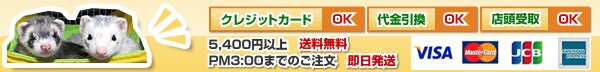 即日発送