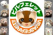 ビバ・フェレット