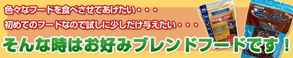 ブレンドフードはこちら!